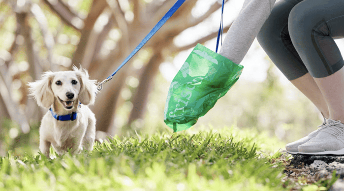 DestinPoopRemoval Destin FL Poop Removal